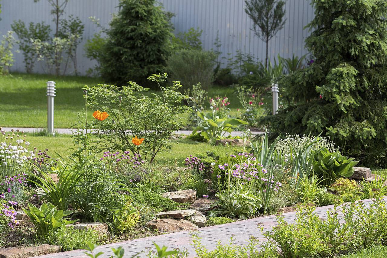 Проект Крекшино